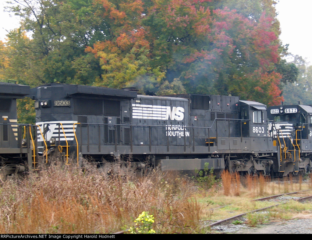 NS 8603